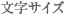 文字サイズ