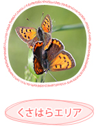 くさはらエリア
