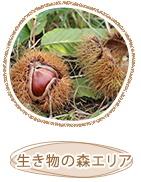生き物の森エリア