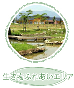生き物ふれあいエリア