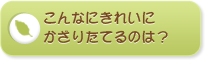 こんなにきれいにかざりたてるのは？