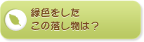 緑色をしたこの落し物は？