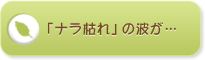 白黒4者そろいぶみ！